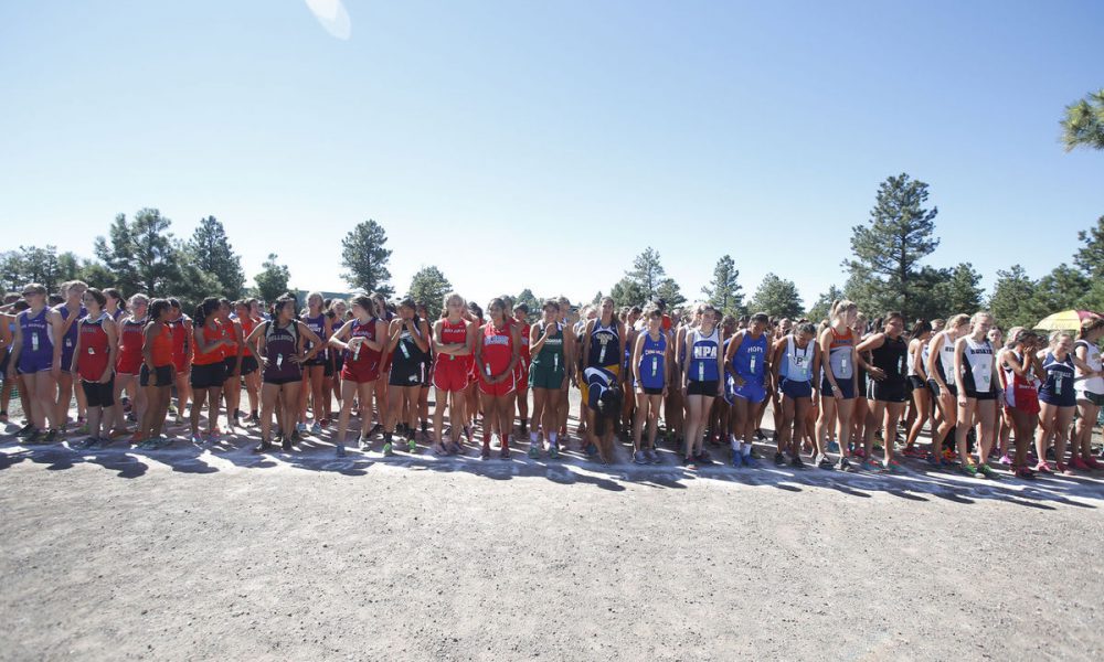 Medina High School Girls Varsity Cross Country finishes 1st place at
